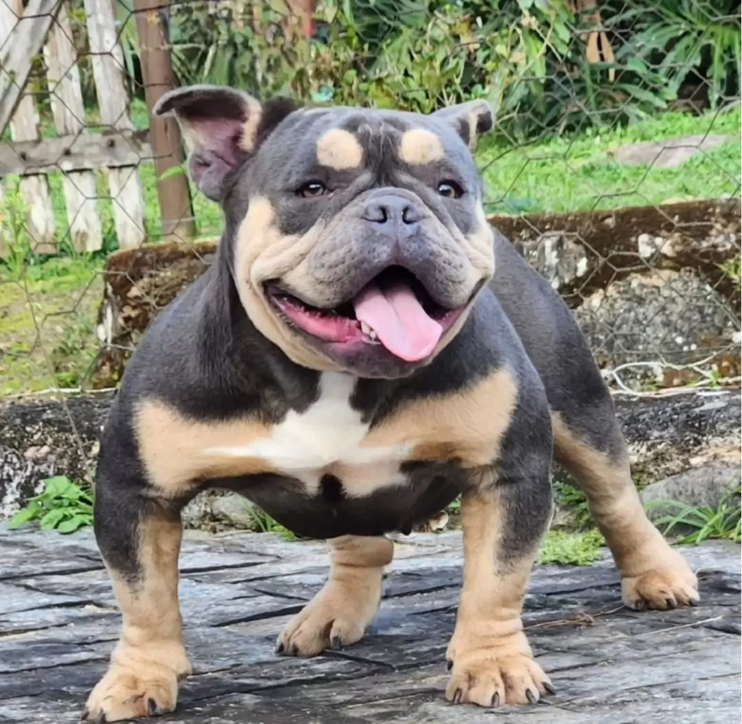 Hera