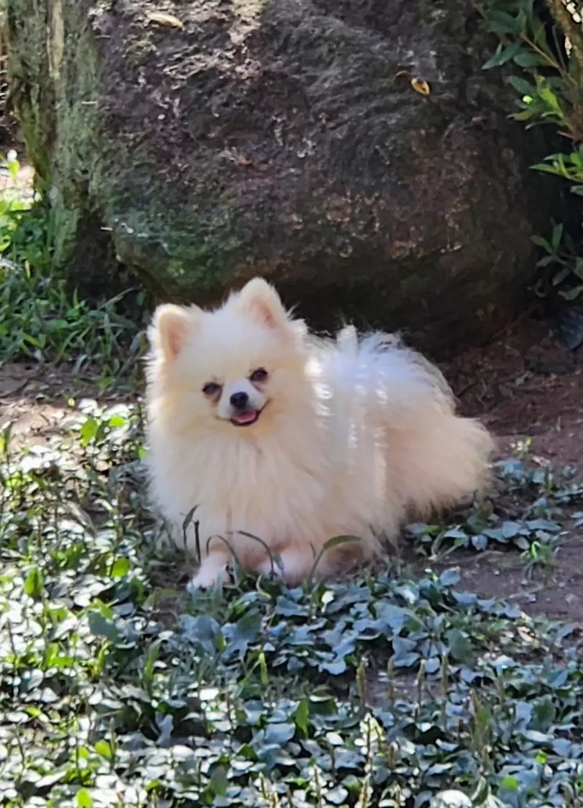 Théo