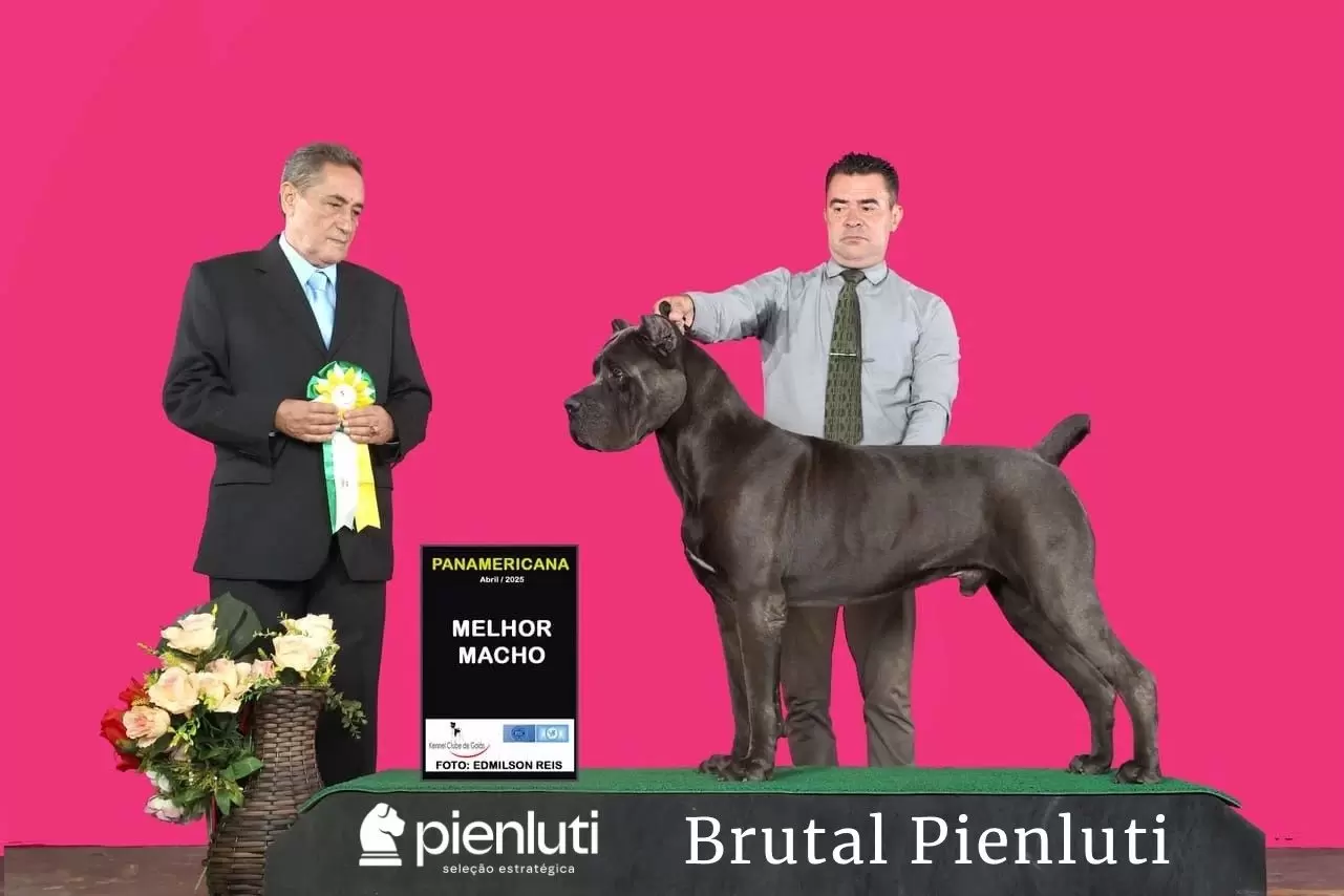 Brutal Pienluti