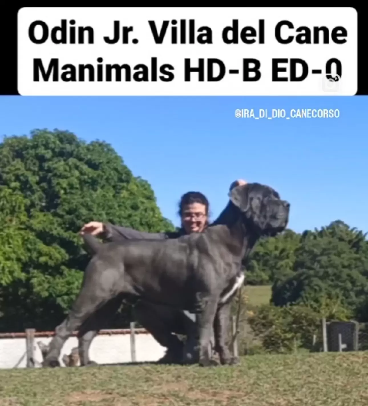 Odin 