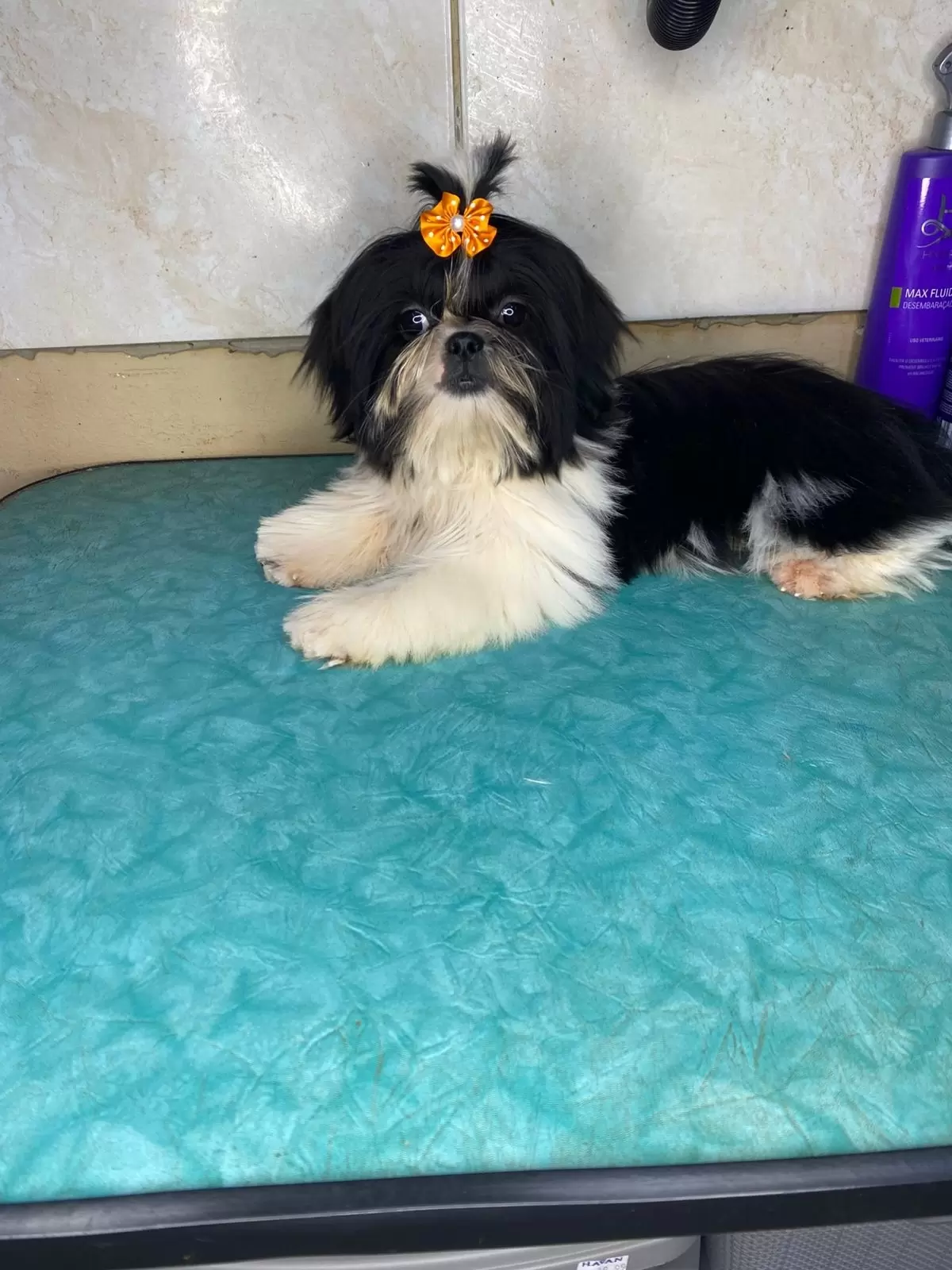 Lilica baby flor