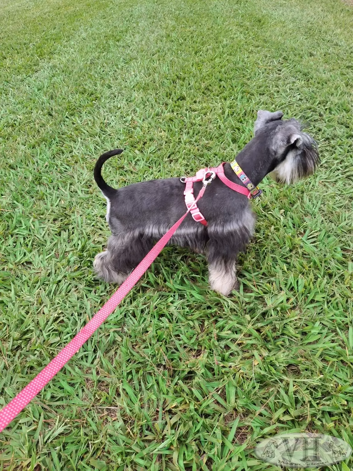 Zoe