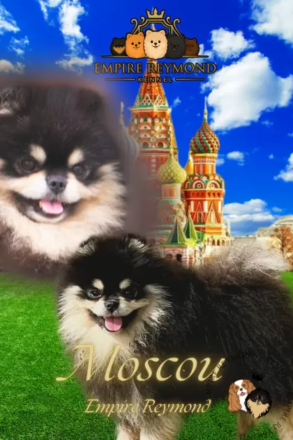 Moscow