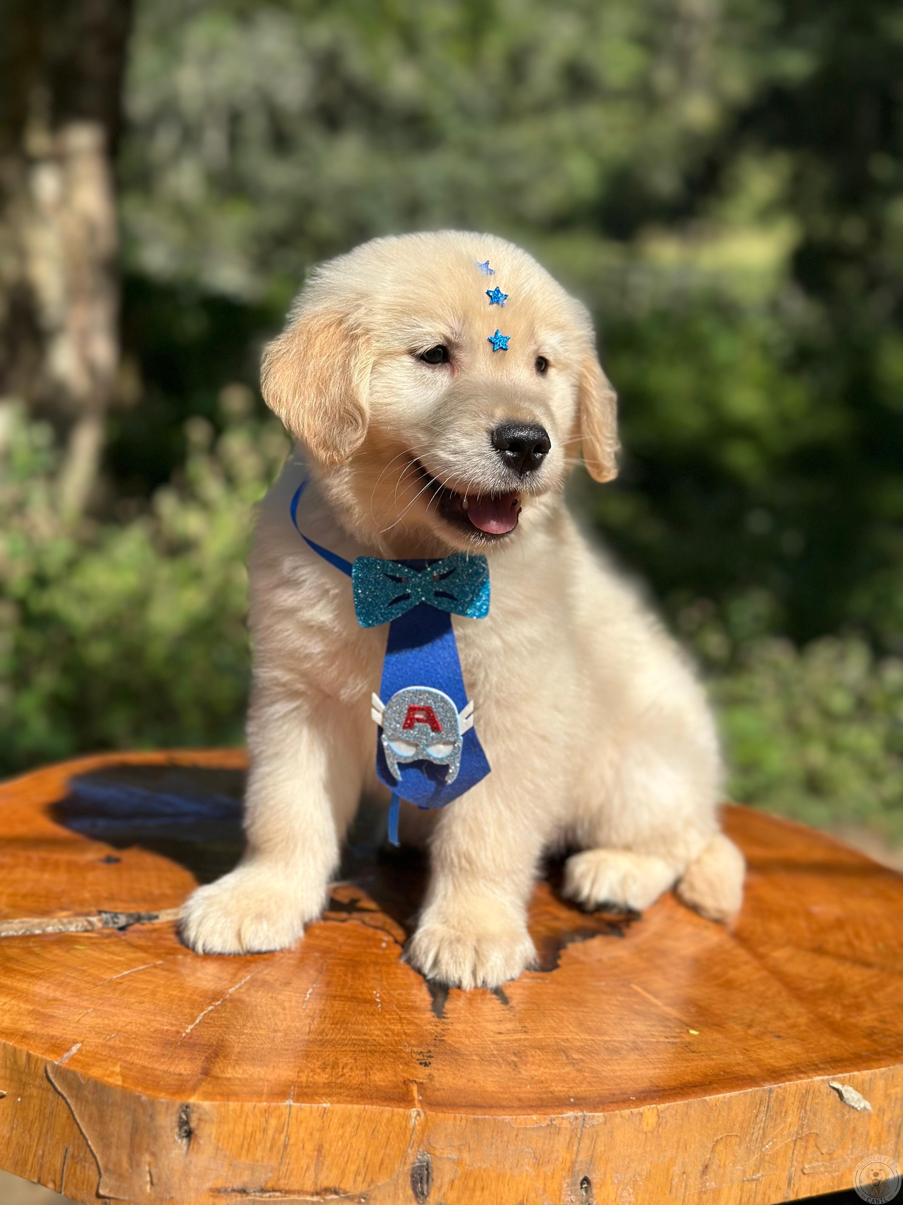 Azul
