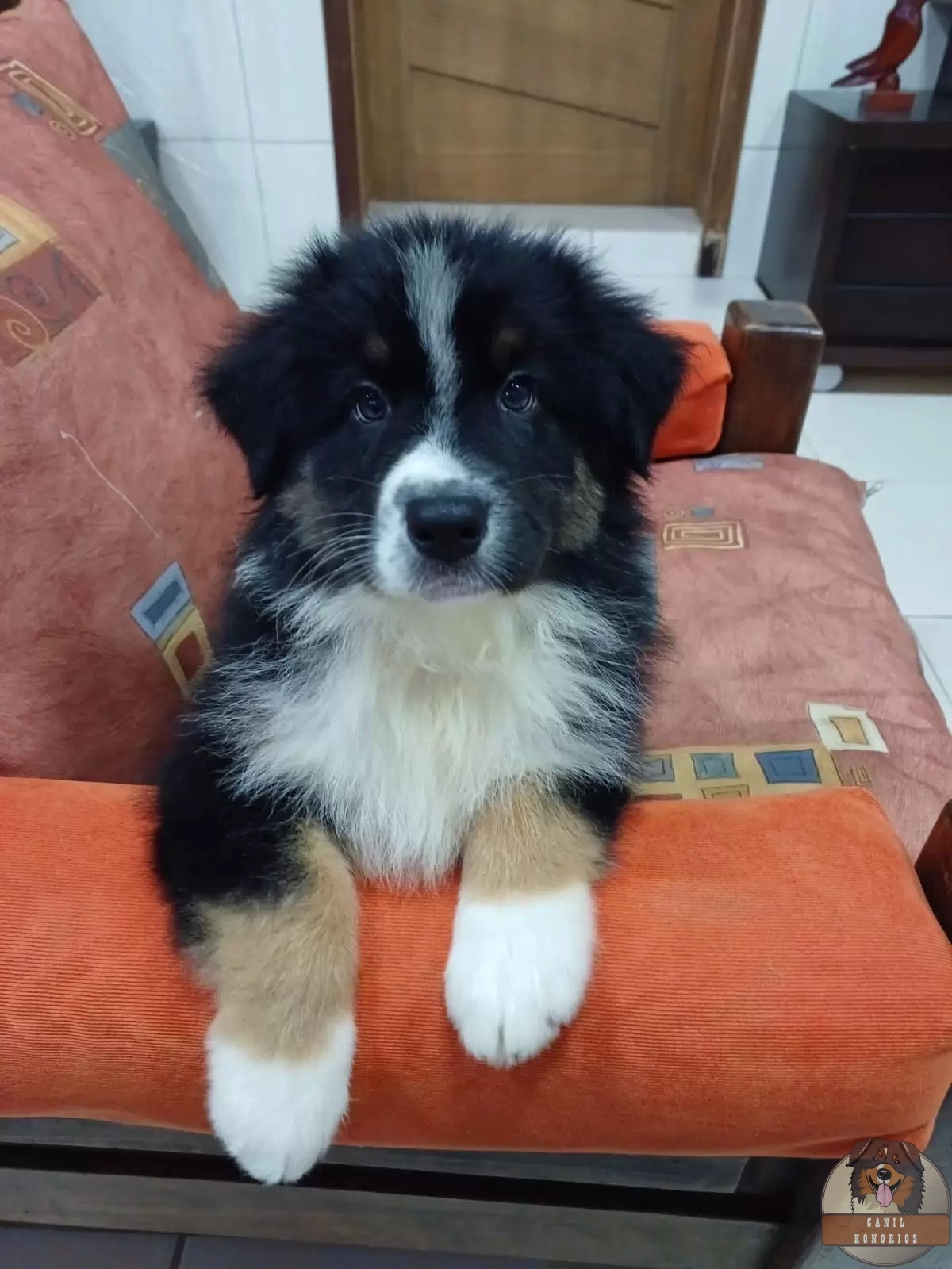 Logan