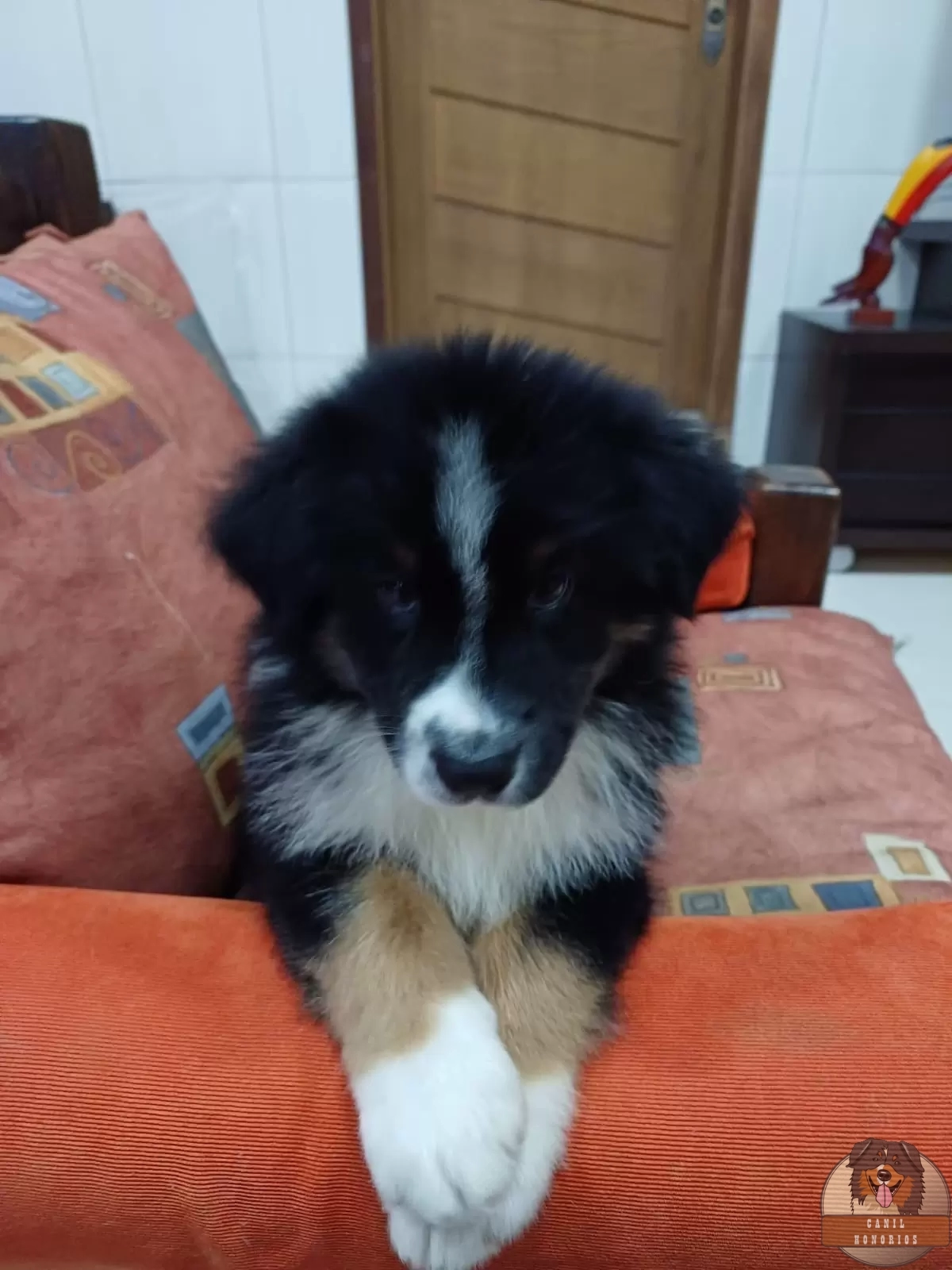 Logan