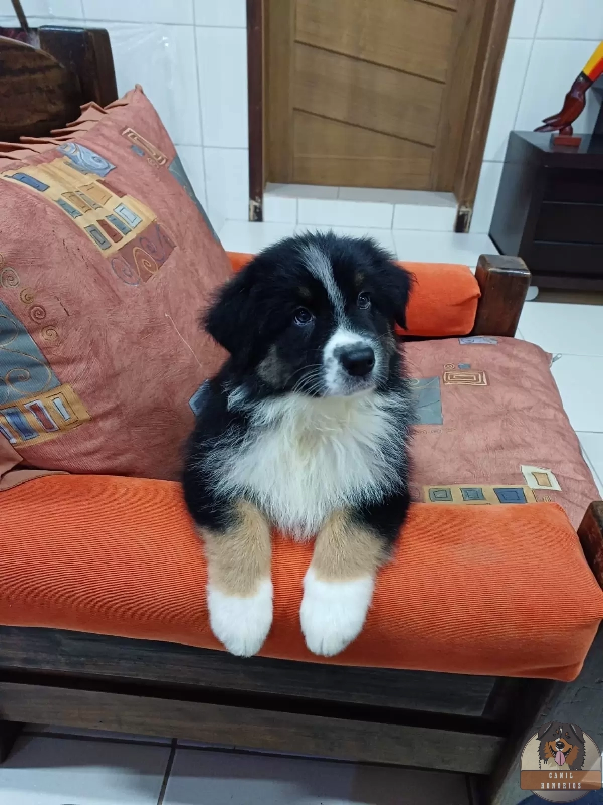 Logan
