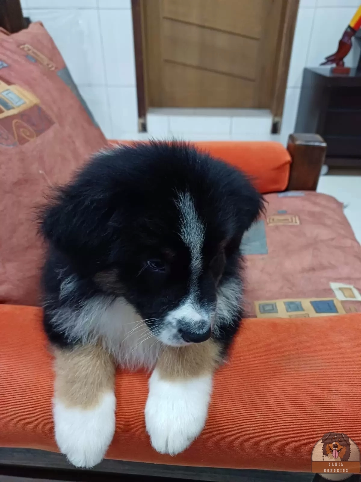 Logan