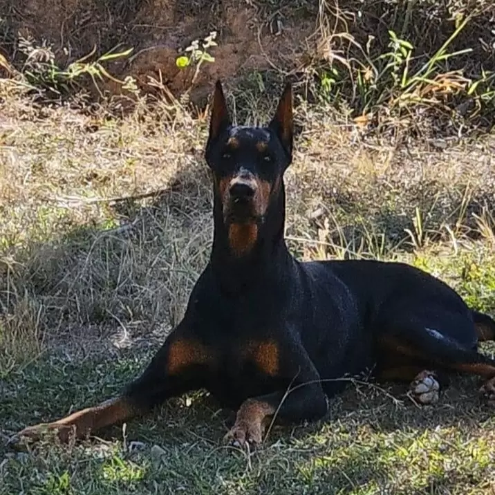 Kendra